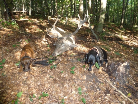 Víkendové double 1/2