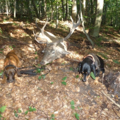 Víkendové double 1/2