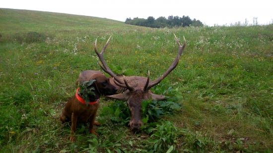 Víkendové double 2/2