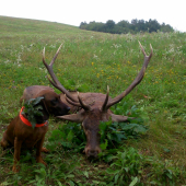 Víkendové double 2/2