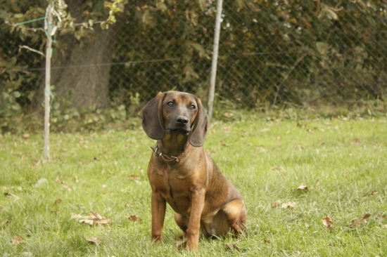 Fida spod Oravskeho hradu - 7 mesiacov