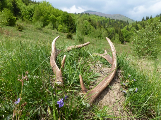Pôvodne päť metrov od seba