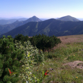 kam oči dovidia M,V.Rosutec