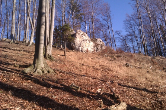 U medvediej  skale
