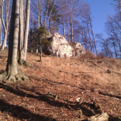 U medvediej  skale