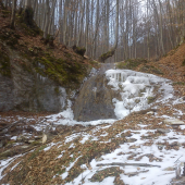 Horský skamzem...