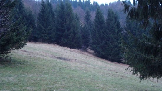 Zažitky z rúje na peknom rújovisku...