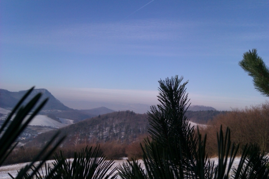 Inverzia