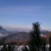Inverzia