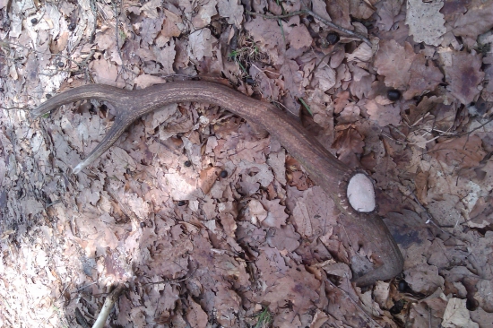 Upršaný deň pekný zhod...