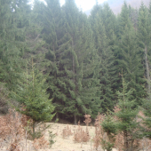 Pod žriedlom...