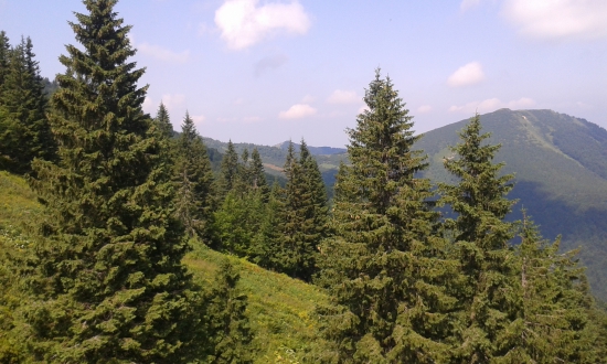 Dovolenka za Prírodou.
