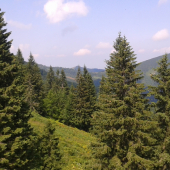 Dovolenka za Prírodou.