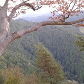 Ochladilo sa a pomaly sa blíži ruja...