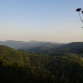 Ked si privstanem je kam pozerat...