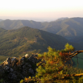 Pohľad na mačičie a jeho okolie...