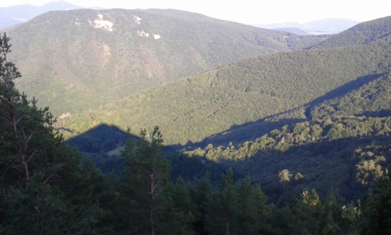 Hory a lesy šivariny.