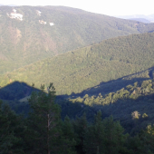 Hory a lesy šivariny.