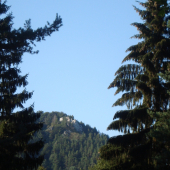 Počúvadlo jelenej ruje...