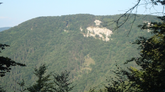 Pod šivarinou.