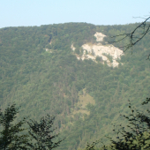 Pod šivarinou.