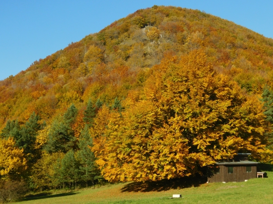 Pod kopcom stanovište-2-...