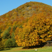 Pod kopcom stanovište-2-...