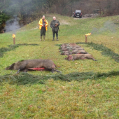 Zo spoločnej dnes a výrad...