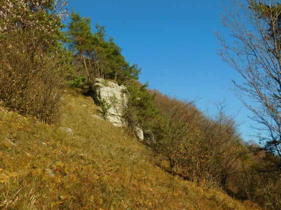 Bôry na skale