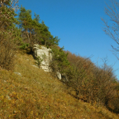 Bôry na skale