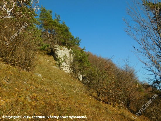 Bôry na skale