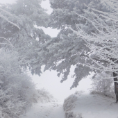 Zimné ráno v hore...