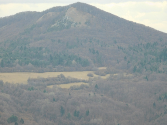 Pod vlčou...