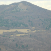 Pod vlčou...