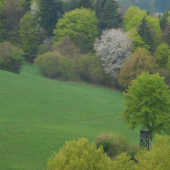 Poobedná prechádzka...