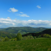 Prechádzka...