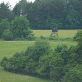 Chodníčkom na posed...