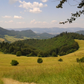 Letná Prechádzka...