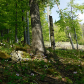 Pekní deň v prírode...