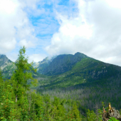 Pohľad i výhľad...