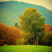 Ranná Dušičková Jeseň...