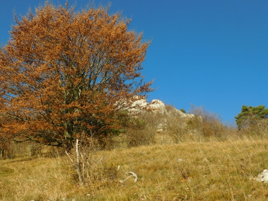 Nad žriedlom...