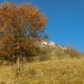 Nad žriedlom...