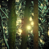 V hore pri východe  slnka...