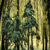 Pripadlo prechádzka horou...