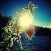 Pri západe slnka ...