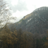 Výhľad z rúbane  ...