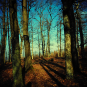 V Strážovských horách...