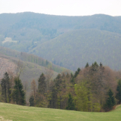 Bučina sa zelená ...