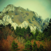 Prechádzka cez revír ...